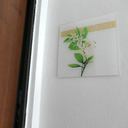 Casa Consoli Διαμέρισμα